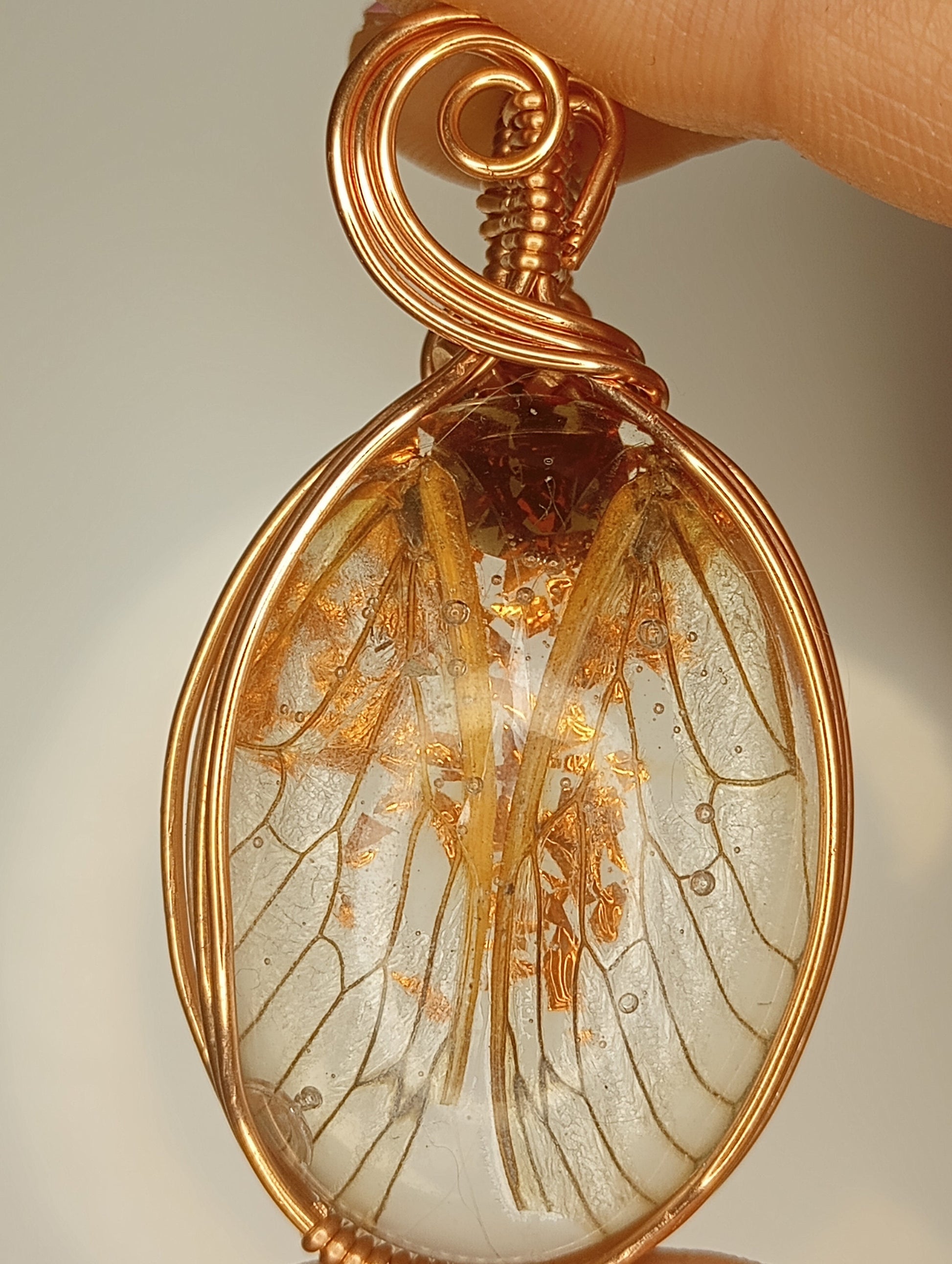 Cicada Wings in Resin Pendant | Locally collected 2024 brood | Copper - Wire Wrapped Handmade Jewelry | 24 inch copper plated chain included