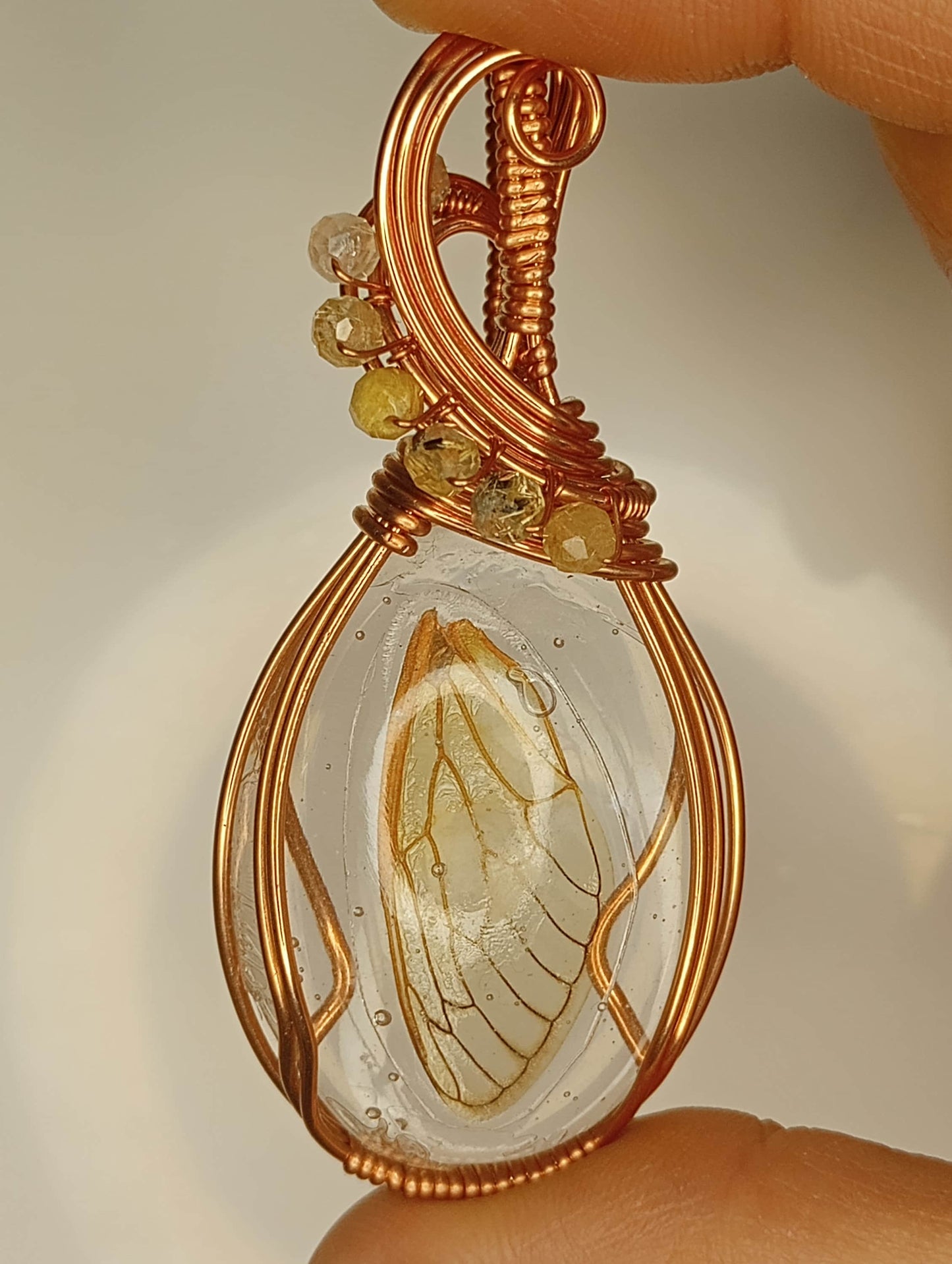 Cicada Wing in Resin Pendant | Locally collected 2024 brood | Copper - Wire Wrapped Handmade Jewelry | 24 inch copper plated chain included