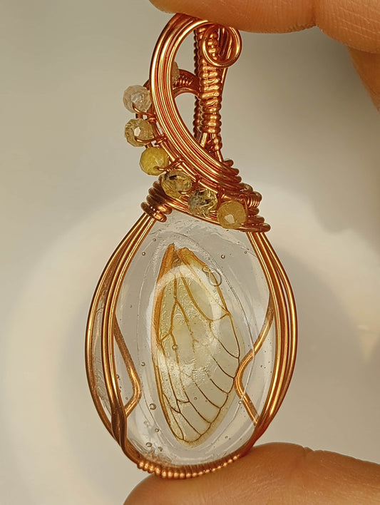 Cicada Wing in Resin Pendant | Locally collected 2024 brood | Copper - Wire Wrapped Handmade Jewelry | 24 inch copper plated chain included