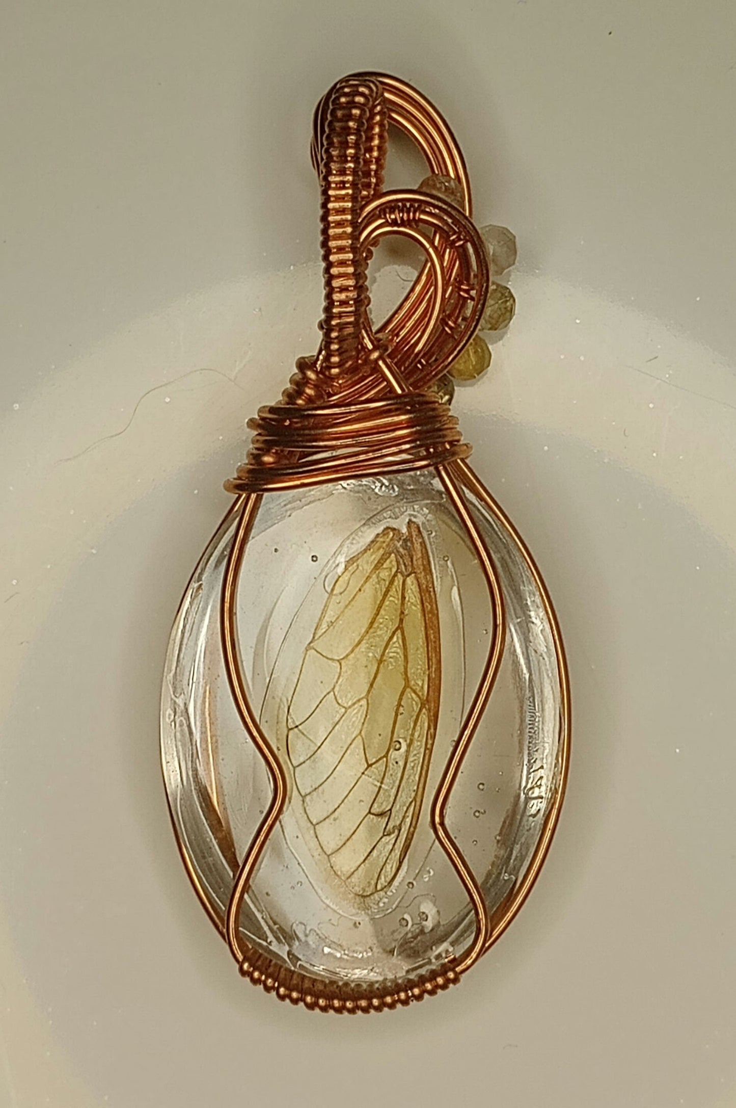 Cicada Wing in Resin Pendant | Locally collected 2024 brood | Copper - Wire Wrapped Handmade Jewelry | 24 inch copper plated chain included