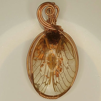 Cicada Wings in Resin Pendant | Locally collected 2024 brood | Copper - Wire Wrapped Handmade Jewelry | 24 inch copper plated chain included