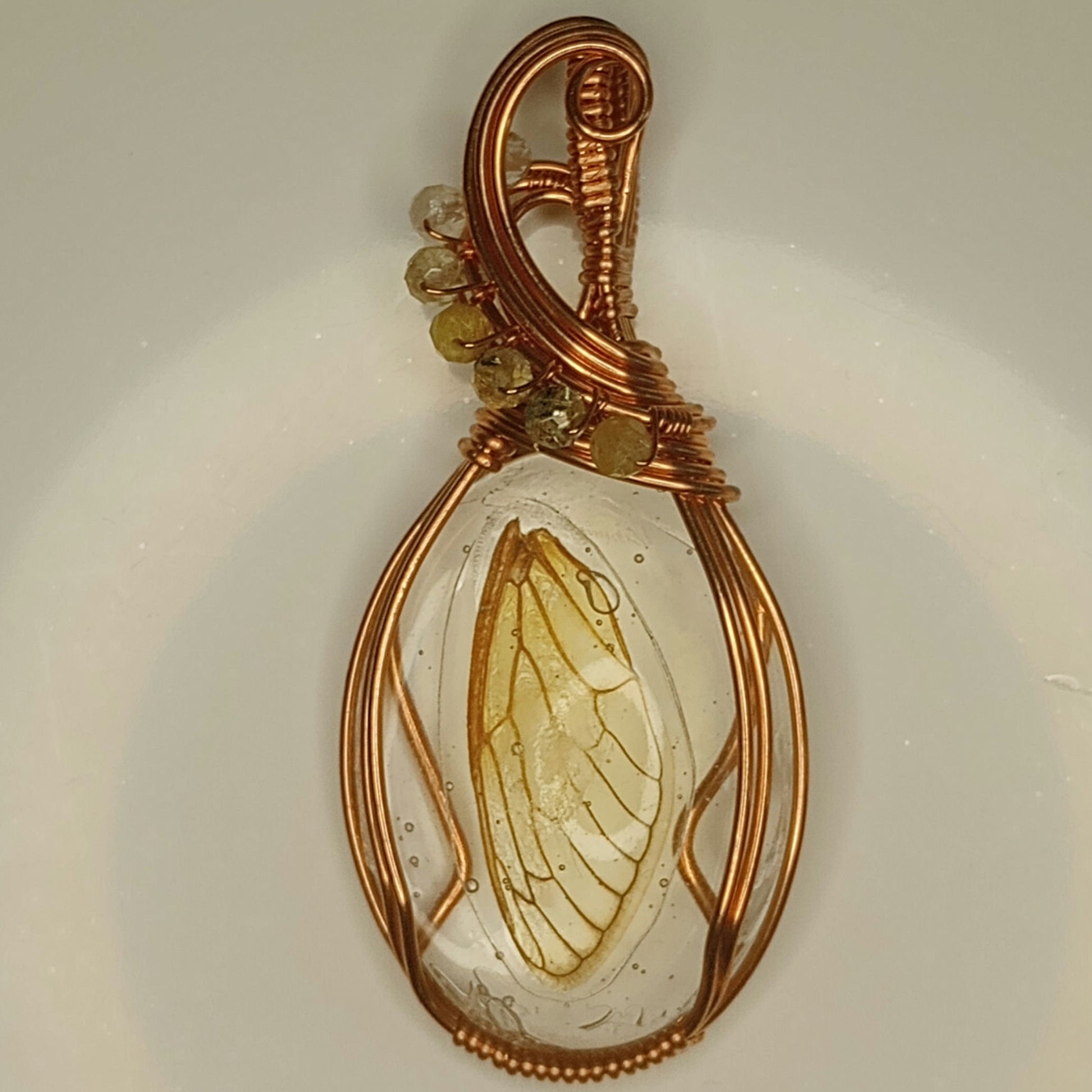 Cicada Wing in Resin Pendant | Locally collected 2024 brood | Copper - Wire Wrapped Handmade Jewelry | 24 inch copper plated chain included